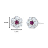 Diamond & Ruby Earrings