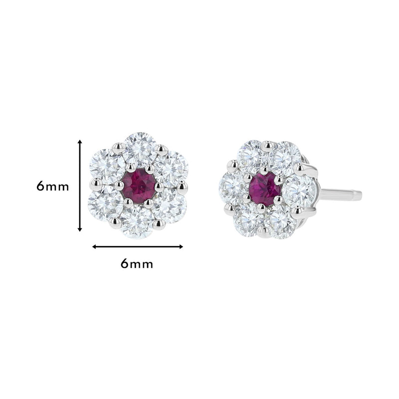 Diamond & Ruby Earrings