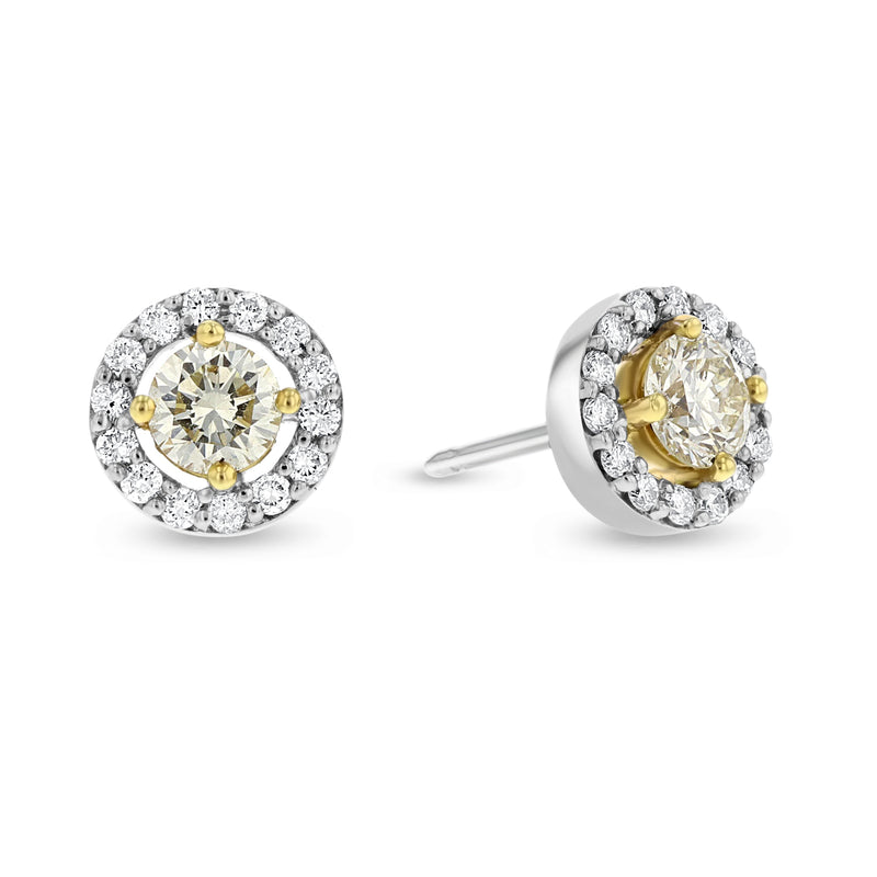 Yellow Diamond Halo Stud Earrings - R&R Jewelers 